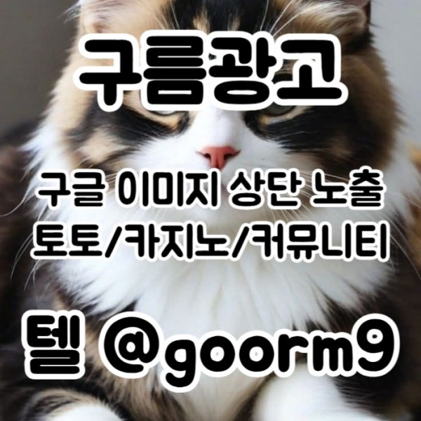 gsrgvbdgvb토토사이트홍보-구글이미지홍보하기-카지노홍보-토토광고-사설토토홍보-구글이미지광고005.jpg