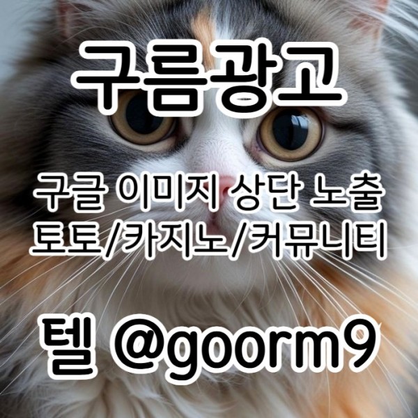 dtfhbhbgtfhbgf토토사이트홍보-구글이미지홍보하기-카지노홍보-토토광고-사설토토홍보-구글이미지광고004.jpg