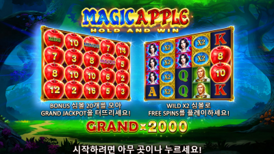 매직 애플[Magic Apple]