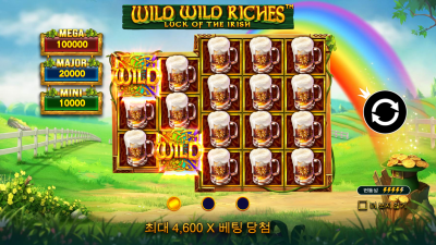 와일드 와일드 리치 [WILD WILD RICHES]