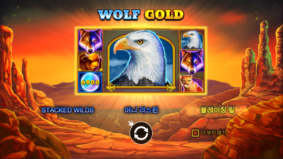 울프 골드[WOLF GOLD]