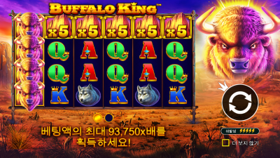 버팔로 킹[BUFFALO KING]