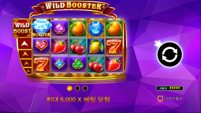 와일드 부스터 [WILD BOOSTER]