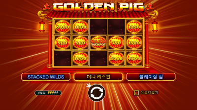 황금돼지[GOLDEN PIG]