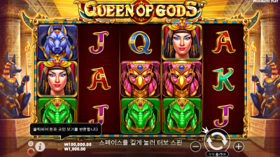 퀸오브갓 [Queen of Gods]